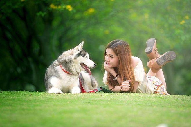 链分析：现状、痛点、需求、趋势不朽情缘游戏宠物食品行业产业(图2)