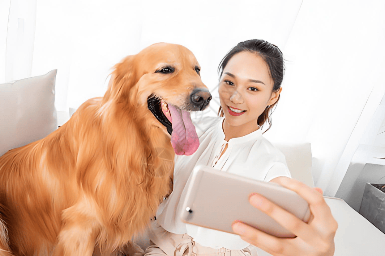 链分析：现状、痛点、需求、趋势不朽情缘游戏宠物食品行业产业(图3)