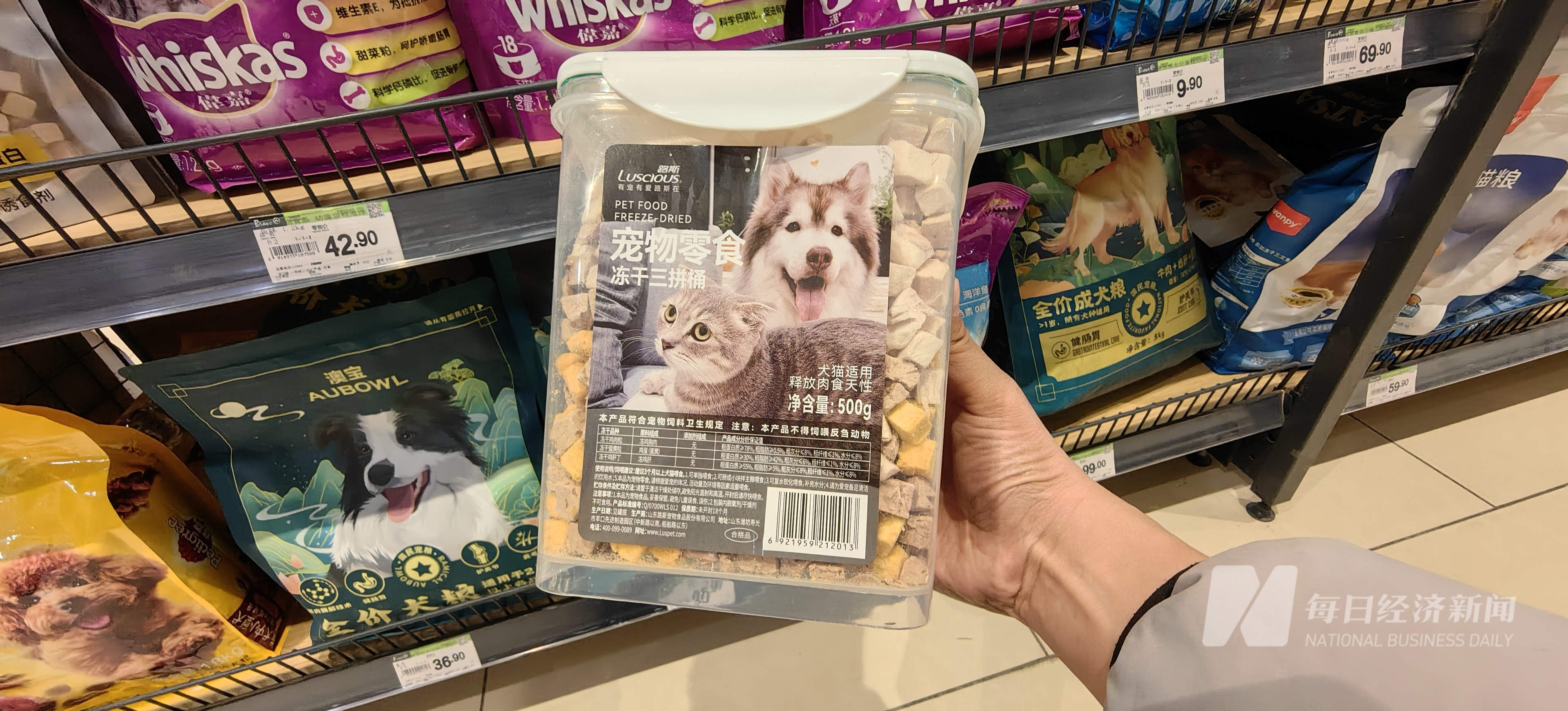 也加中药宠物从“吃饱”转型“吃好” 国产品牌崛起驱动万亿元市场不朽情缘游戏手机版“2025 宠物消费·智享未来报告”｜狗粮(图3)