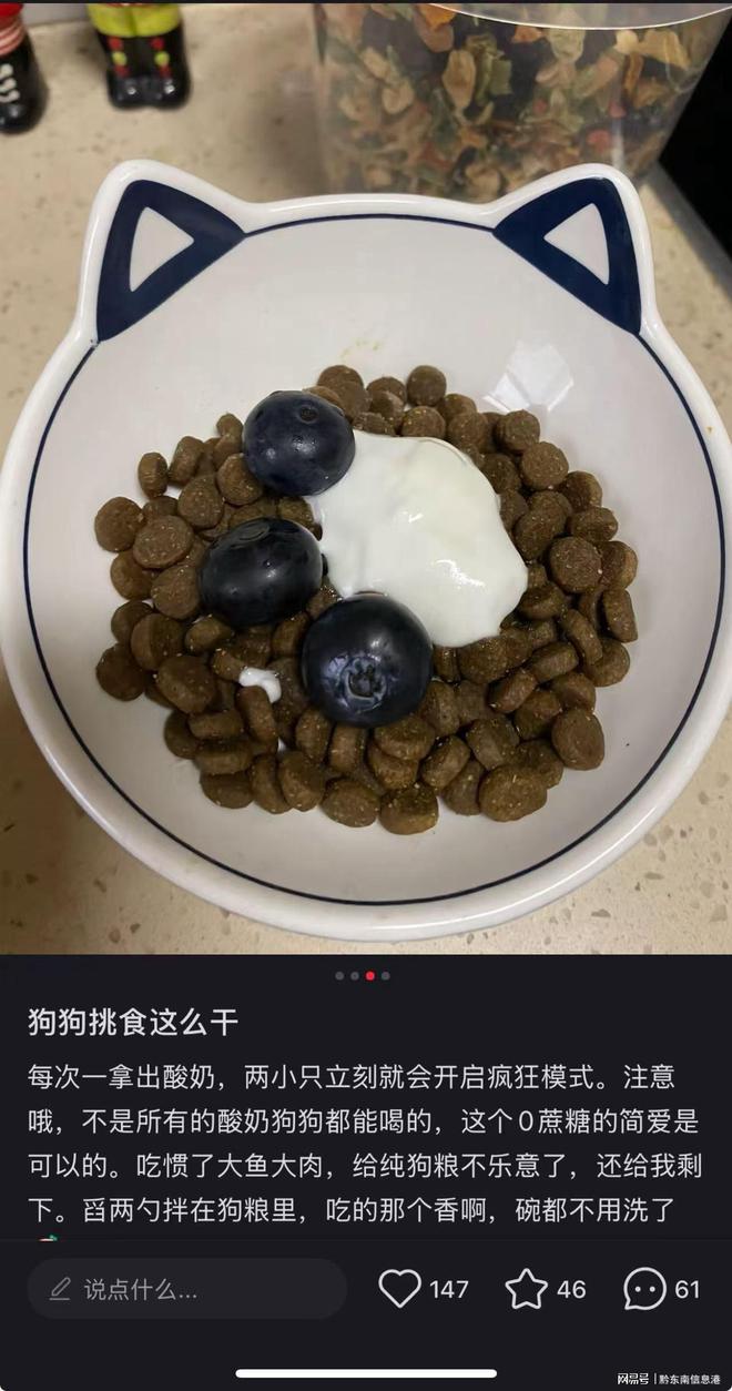 方”撬动萌宠经济与母婴信任双赛道不朽情缘