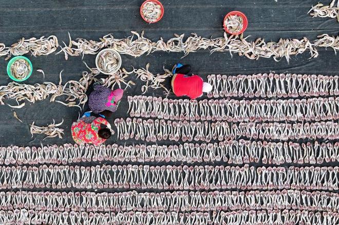 日海产品晾晒忙不朽情缘版冬(图3)