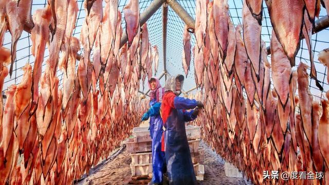 大姐靠日光晒鱼手艺3 个月赚出全年一半收入mg不朽情缘游戏网站登录不用添加剂!日照(图3) 大姐靠日光晒鱼手艺3 个月赚出全年一半收入mg不朽情缘游戏网站登录不用添加剂!日照(图3)