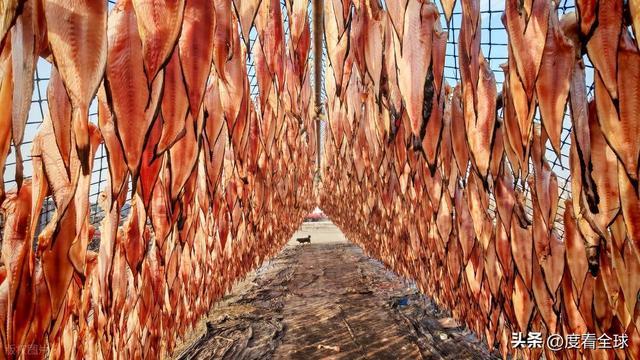 大姐靠日光晒鱼手艺3 个月赚出全年一半收入mg不朽情缘游戏网站登录不用添加剂!日照(图2) 大姐靠日光晒鱼手艺3 个月赚出全年一半收入mg不朽情缘游戏网站登录不用添加剂!日照(图2)