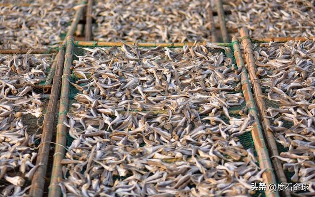 大姐靠日光晒鱼手艺3 个月赚出全年一半收入mg不朽情缘游戏网站登录不用添加剂!日照(图6) 大姐靠日光晒鱼手艺3 个月赚出全年一半收入mg不朽情缘游戏网站登录不用添加剂!日照(图6)