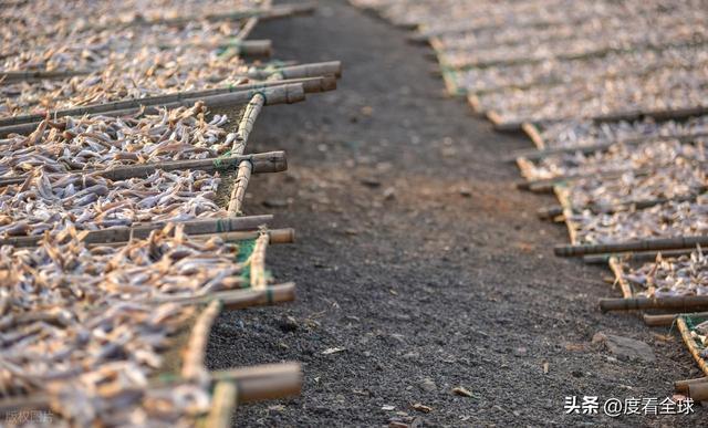 大姐靠日光晒鱼手艺3 个月赚出全年一半收入mg不朽情缘游戏网站登录不用添加剂!日照(图8) 大姐靠日光晒鱼手艺3 个月赚出全年一半收入mg不朽情缘游戏网站登录不用添加剂!日照(图8)