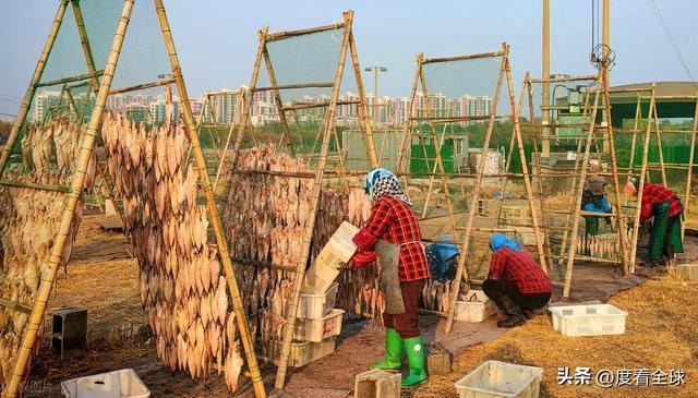 大姐靠日光晒鱼手艺3 个月赚出全年一半收入mg不朽情缘游戏网站登录不用添加剂!日照(图5) 大姐靠日光晒鱼手艺3 个月赚出全年一半收入mg不朽情缘游戏网站登录不用添加剂!日照(图5)