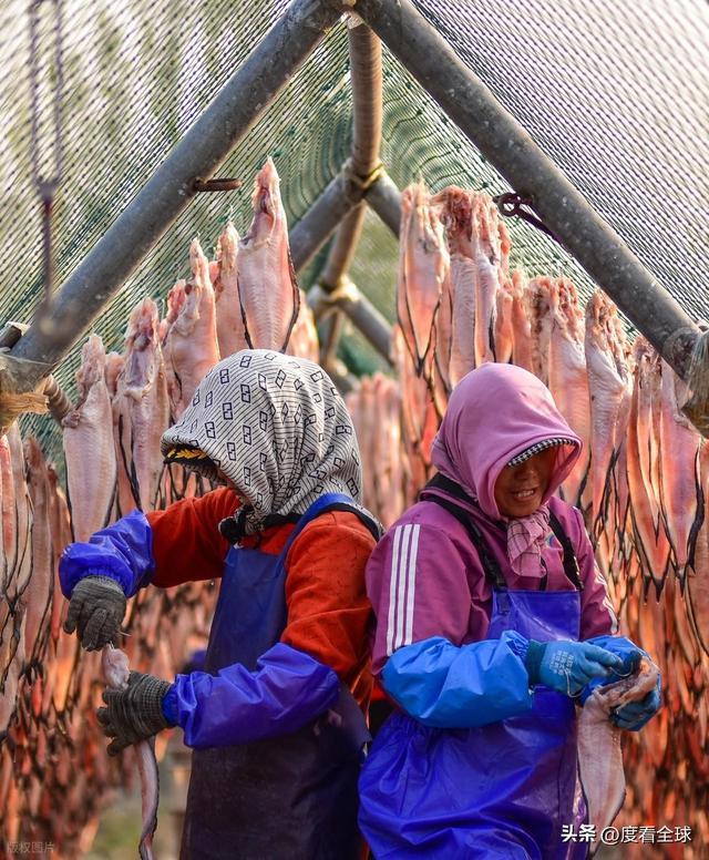 大姐靠日光晒鱼手艺3 个月赚出全年一半收入mg不朽情缘游戏网站登录不用添加剂!日照(图7) 大姐靠日光晒鱼手艺3 个月赚出全年一半收入mg不朽情缘游戏网站登录不用添加剂!日照(图7)