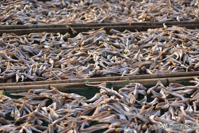 大姐靠日光晒鱼手艺3 个月赚出全年一半收入mg不朽情缘游戏网站登录不用添加剂!日照(图10) 大姐靠日光晒鱼手艺3 个月赚出全年一半收入mg不朽情缘游戏网站登录不用添加剂!日照(图10)