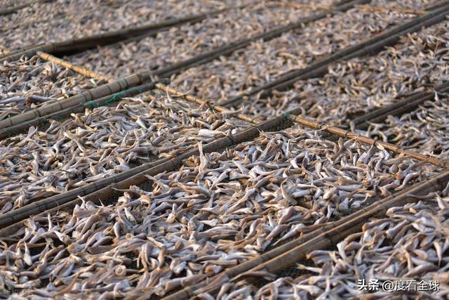 大姐靠日光晒鱼手艺3 个月赚出全年一半收入mg不朽情缘游戏网站登录不用添加剂!日照(图12) 大姐靠日光晒鱼手艺3 个月赚出全年一半收入mg不朽情缘游戏网站登录不用添加剂!日照(图12)