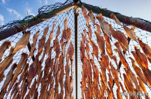 大姐靠日光晒鱼手艺3 个月赚出全年一半收入mg不朽情缘游戏网站登录不用添加剂!日照(图13) 大姐靠日光晒鱼手艺3 个月赚出全年一半收入mg不朽情缘游戏网站登录不用添加剂!日照(图13)