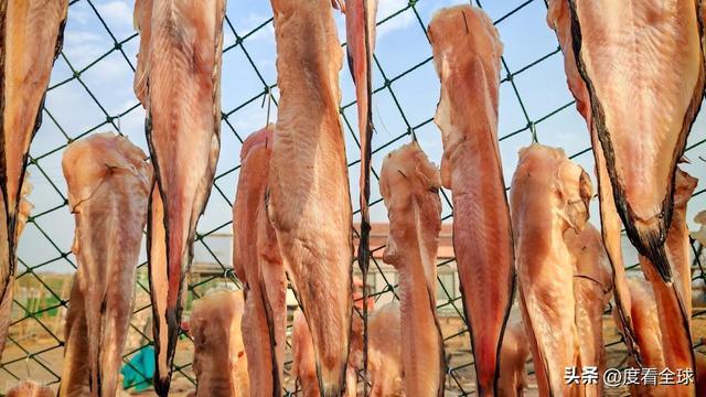 大姐靠日光晒鱼手艺3 个月赚出全年一半收入mg不朽情缘游戏网站登录不用添加剂!日照(图22) 大姐靠日光晒鱼手艺3 个月赚出全年一半收入mg不朽情缘游戏网站登录不用添加剂!日照(图22)