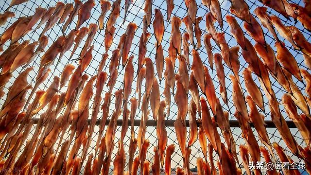 大姐靠日光晒鱼手艺3 个月赚出全年一半收入mg不朽情缘游戏网站登录不用添加剂!日照(图17) 大姐靠日光晒鱼手艺3 个月赚出全年一半收入mg不朽情缘游戏网站登录不用添加剂!日照(图17)