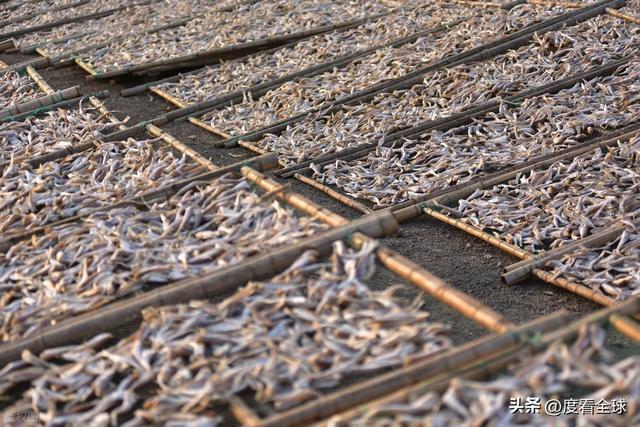 大姐靠日光晒鱼手艺3 个月赚出全年一半收入mg不朽情缘游戏网站登录不用添加剂!日照(图25) 大姐靠日光晒鱼手艺3 个月赚出全年一半收入mg不朽情缘游戏网站登录不用添加剂!日照(图25)