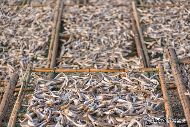 大姐靠日光晒鱼手艺3 个月赚出全年一半收入mg不朽情缘游戏网站登录不用添加剂!日照(图24) 大姐靠日光晒鱼手艺3 个月赚出全年一半收入mg不朽情缘游戏网站登录不用添加剂!日照(图24)