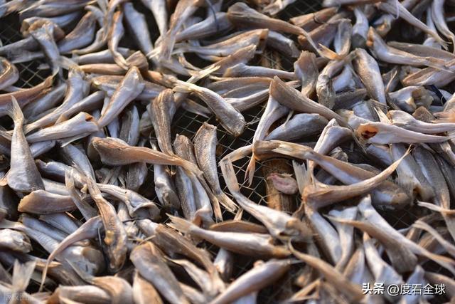 大姐靠日光晒鱼手艺3 个月赚出全年一半收入mg不朽情缘游戏网站登录不用添加剂!日照(图26) 大姐靠日光晒鱼手艺3 个月赚出全年一半收入mg不朽情缘游戏网站登录不用添加剂!日照(图26)