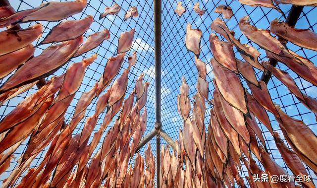 大姐靠日光晒鱼手艺3 个月赚出全年一半收入mg不朽情缘游戏网站登录不用添加剂!日照(图29) 大姐靠日光晒鱼手艺3 个月赚出全年一半收入mg不朽情缘游戏网站登录不用添加剂!日照(图29)