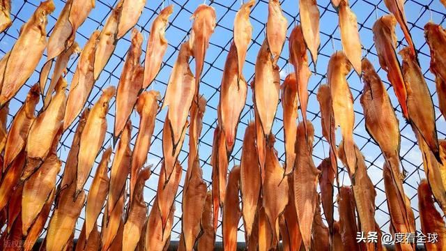 大姐靠日光晒鱼手艺3 个月赚出全年一半收入mg不朽情缘游戏网站登录不用添加剂!日照(图23) 大姐靠日光晒鱼手艺3 个月赚出全年一半收入mg不朽情缘游戏网站登录不用添加剂!日照(图23)