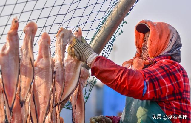 大姐靠日光晒鱼手艺3 个月赚出全年一半收入mg不朽情缘游戏网站登录不用添加剂!日照(图34) 大姐靠日光晒鱼手艺3 个月赚出全年一半收入mg不朽情缘游戏网站登录不用添加剂!日照(图34)