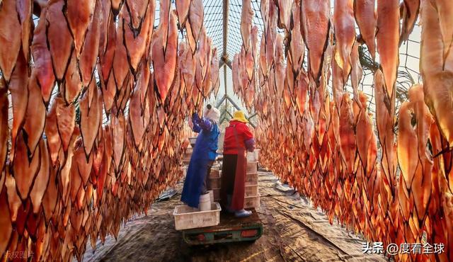 大姐靠日光晒鱼手艺3 个月赚出全年一半收入mg不朽情缘游戏网站登录不用添加剂！日照(图31)