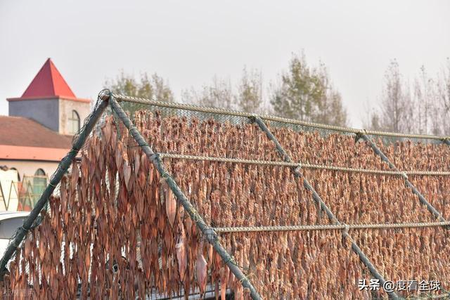 大姐靠日光晒鱼手艺3 个月赚出全年一半收入mg不朽情缘游戏网站登录不用添加剂!日照(图32) 大姐靠日光晒鱼手艺3 个月赚出全年一半收入mg不朽情缘游戏网站登录不用添加剂!日照(图32)