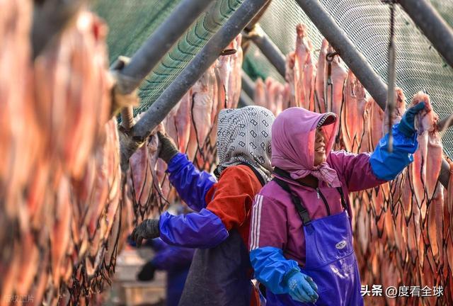 大姐靠日光晒鱼手艺3 个月赚出全年一半收入mg不朽情缘游戏网站登录不用添加剂!日照(图37) 大姐靠日光晒鱼手艺3 个月赚出全年一半收入mg不朽情缘游戏网站登录不用添加剂!日照(图37)