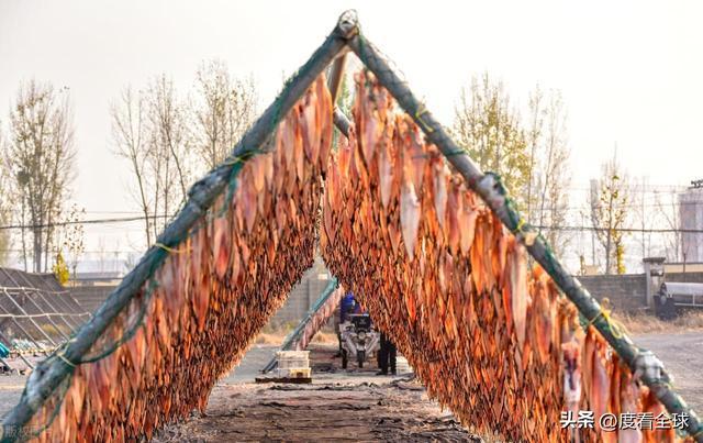 大姐靠日光晒鱼手艺3 个月赚出全年一半收入mg不朽情缘游戏网站登录不用添加剂!日照(图36) 大姐靠日光晒鱼手艺3 个月赚出全年一半收入mg不朽情缘游戏网站登录不用添加剂!日照(图36)