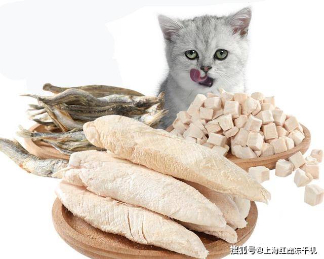 胸肉怎么做宠物食品冻干机不朽情缘登录自制冻干鸡(图1) 胸肉怎么做宠物食品冻干机不朽情缘登录自制冻干鸡(图1)